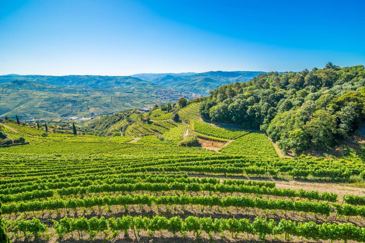 Quinta De Santa Julia Villa Peso da Regua Ngoại thất bức ảnh