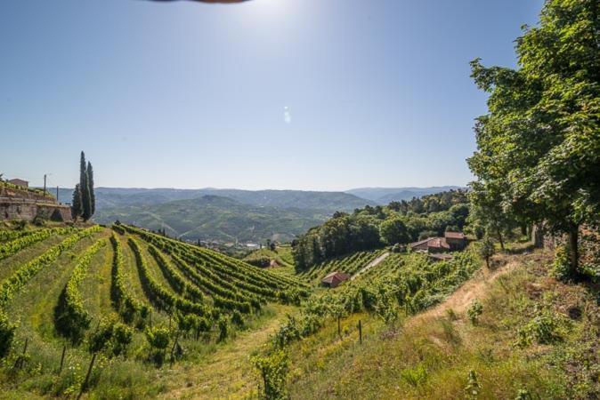 Quinta De Santa Julia Villa Peso da Regua Ngoại thất bức ảnh