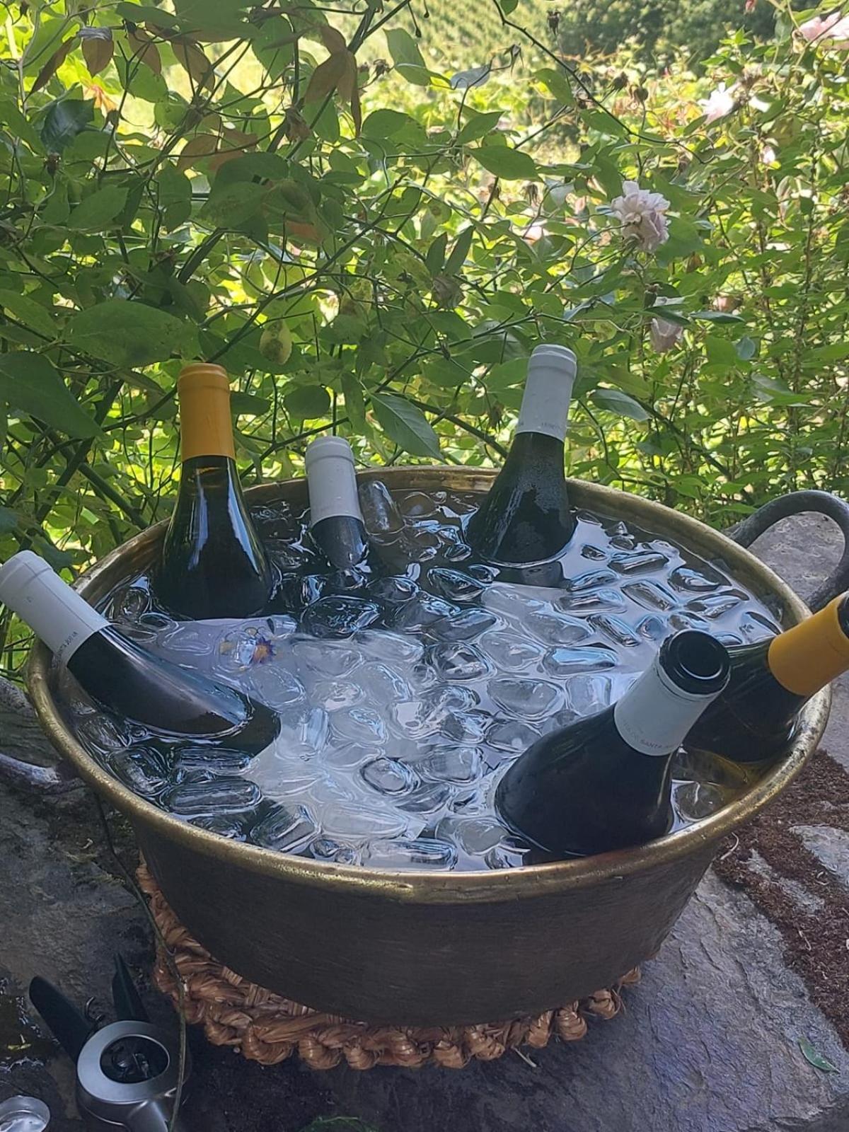 Quinta De Santa Julia Villa Peso da Regua Ngoại thất bức ảnh