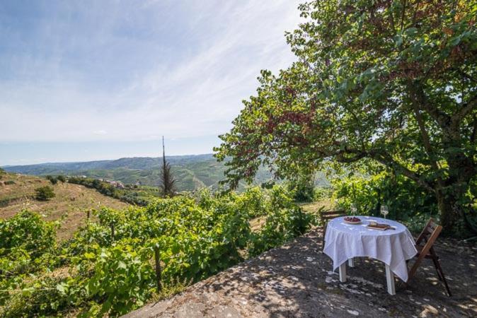 Quinta De Santa Julia Villa Peso da Regua Ngoại thất bức ảnh