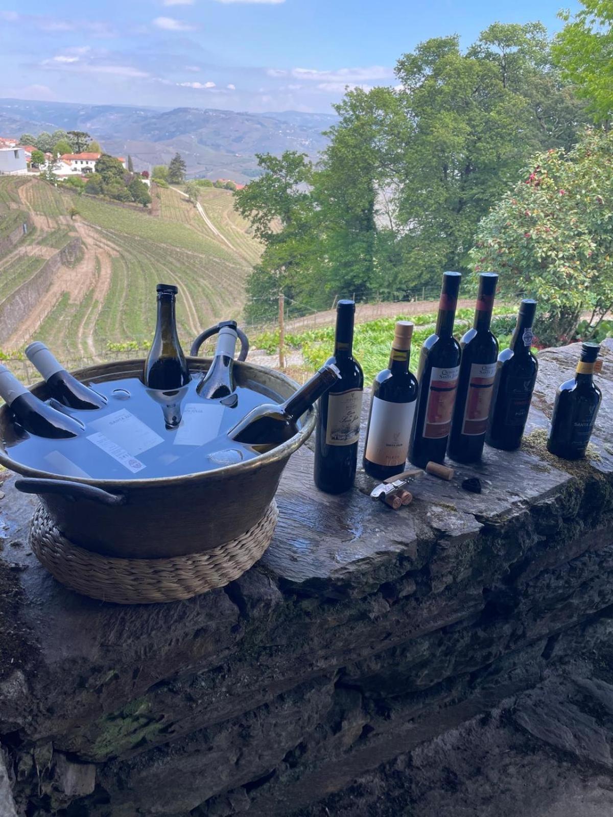 Quinta De Santa Julia Villa Peso da Regua Ngoại thất bức ảnh